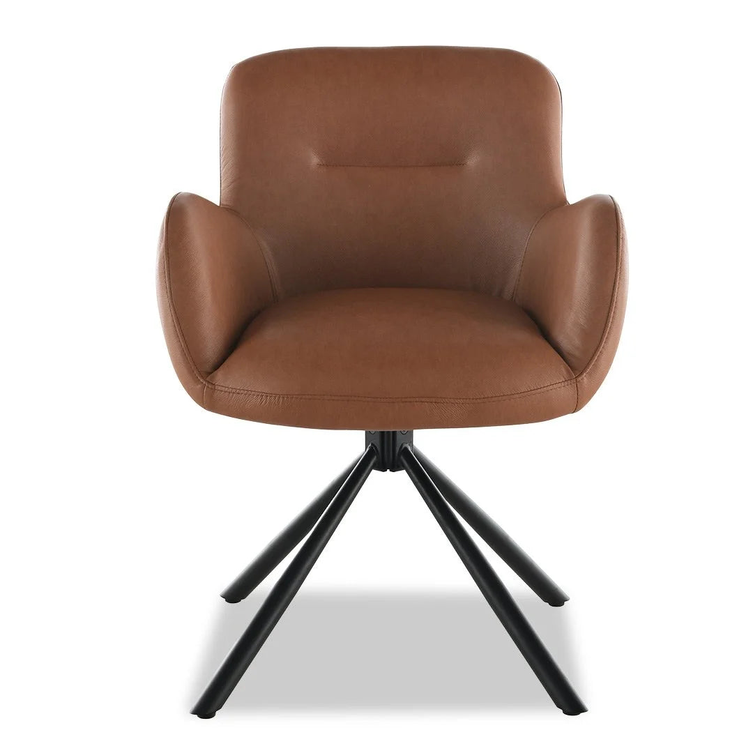 Amber Dining Chair - Brown (Black Leg)
